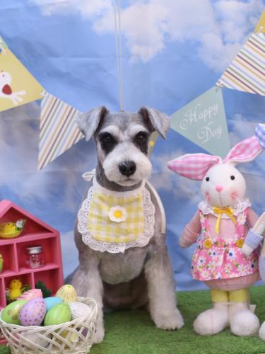 20240316ふたばちゃん